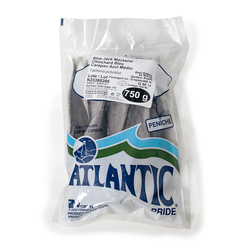 Blue_Jack_Mackerel